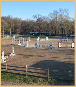 Horse Shows